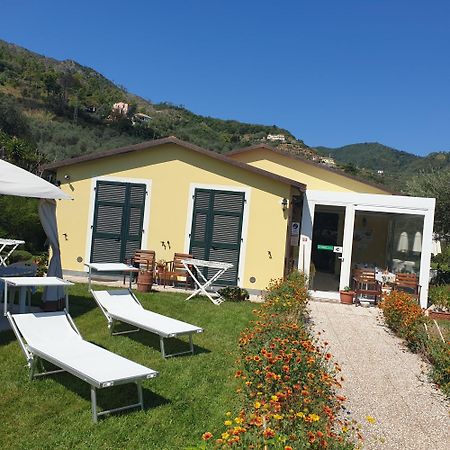Agriturismo La Collina Verde Λεβάντο Εξωτερικό φωτογραφία