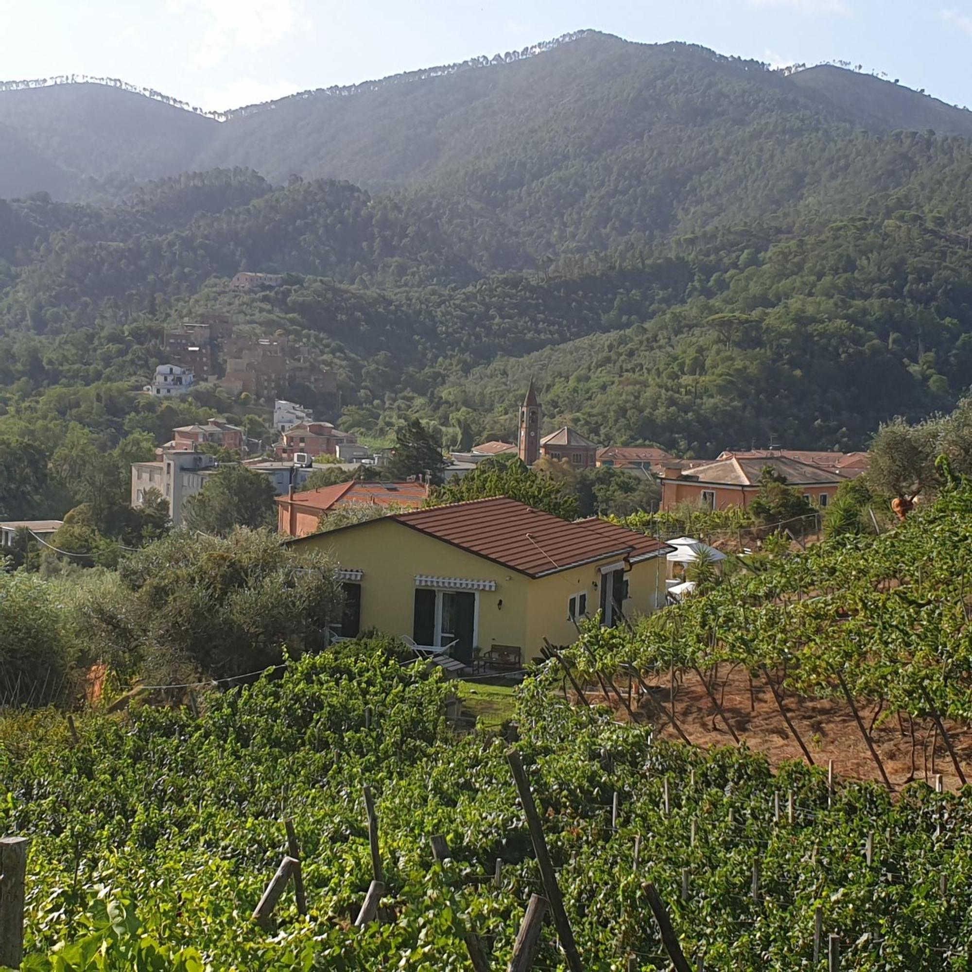 Agriturismo La Collina Verde Λεβάντο Εξωτερικό φωτογραφία